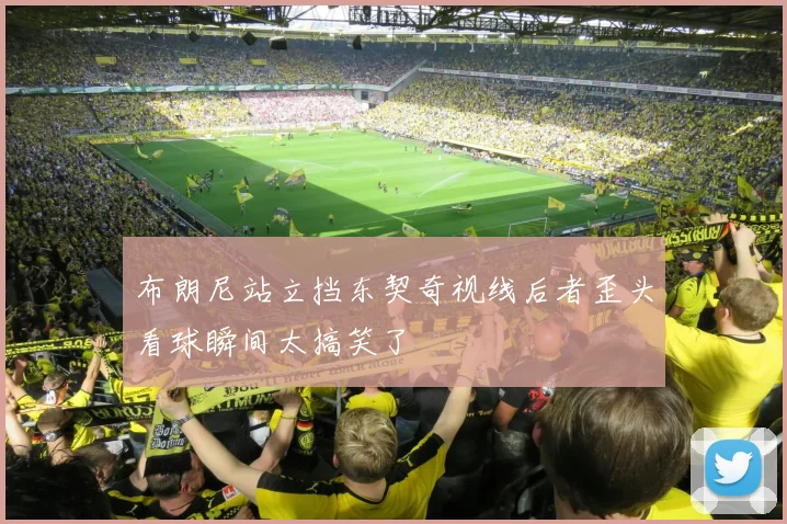 布朗尼站立挡东契奇视线后者歪头看球瞬间太搞笑了
