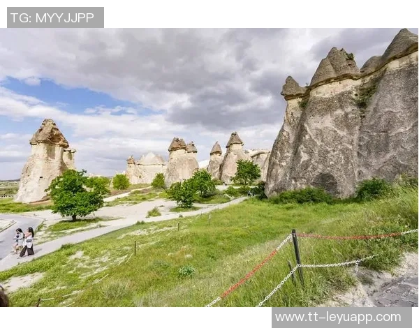 土耳其国家队门将厄泽尔擅自离营森格泽尔紧急补招入队